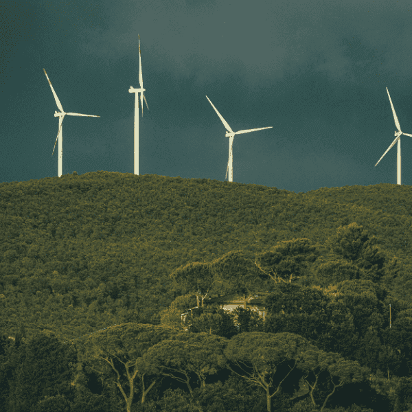 Sustainability Under Pressure: How operational excellence is now the core driver of competitive advantage?